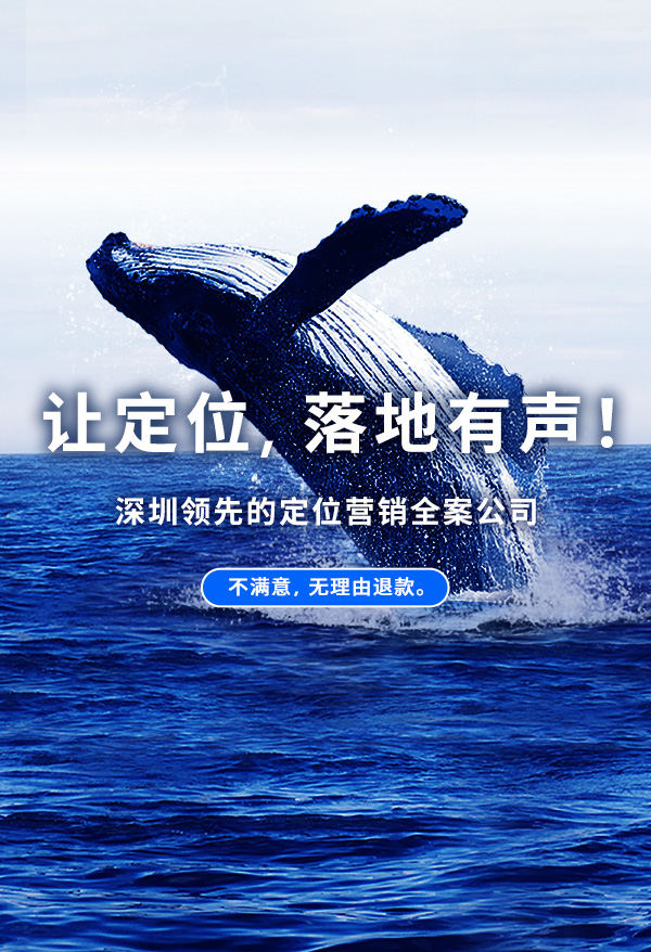 領導者+定位