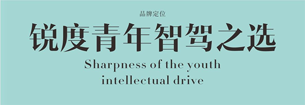 陸風行車記錄儀營銷策劃,行車記錄儀營銷策劃,陸風行車記錄儀