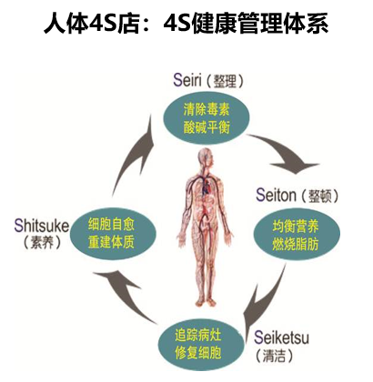 美容品牌策劃,美容營銷策劃,馨園美容連鎖品牌策劃