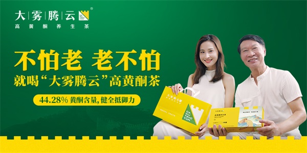 五糧液品牌營銷策劃
